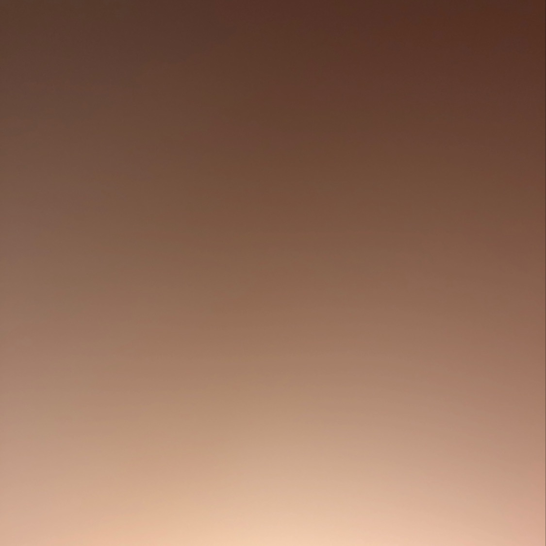 VBNMD