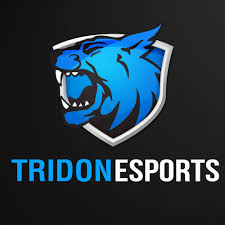 tridon1