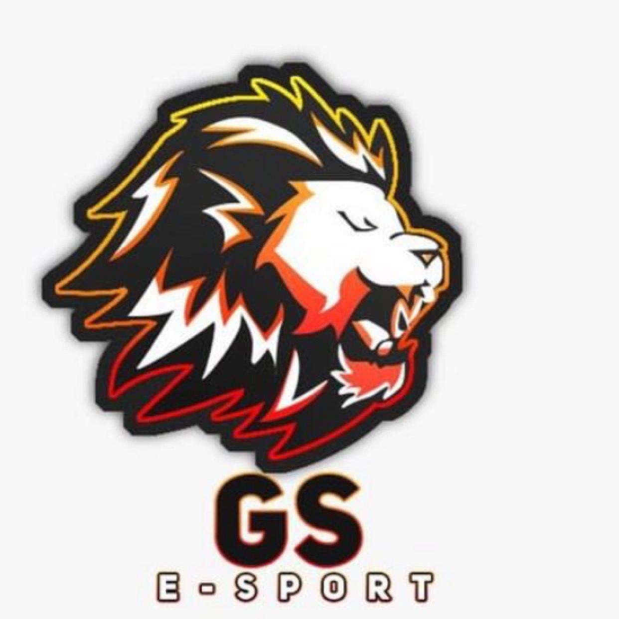 E-Sport.