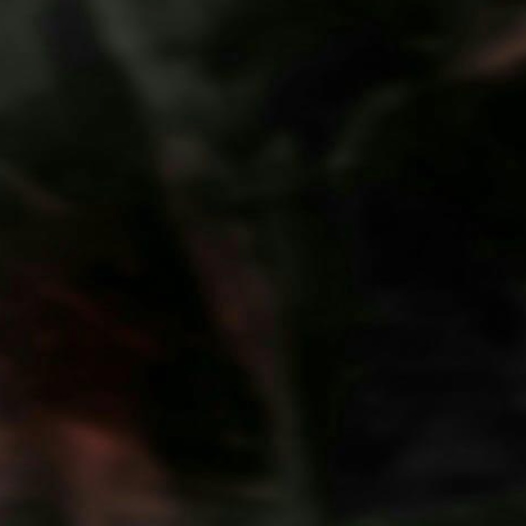 Invitation Banner
