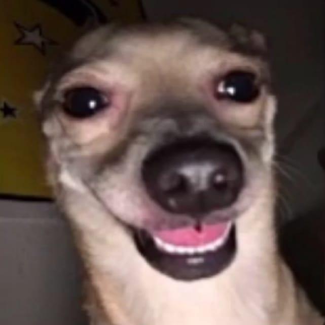 NUHXTWO