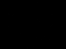 Invitation Banner