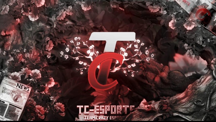 T.c8