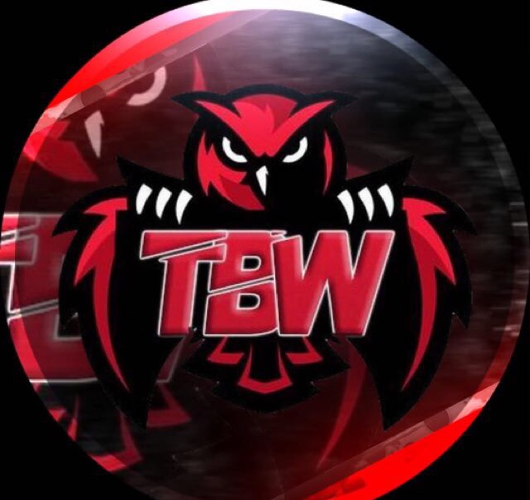 The black owl