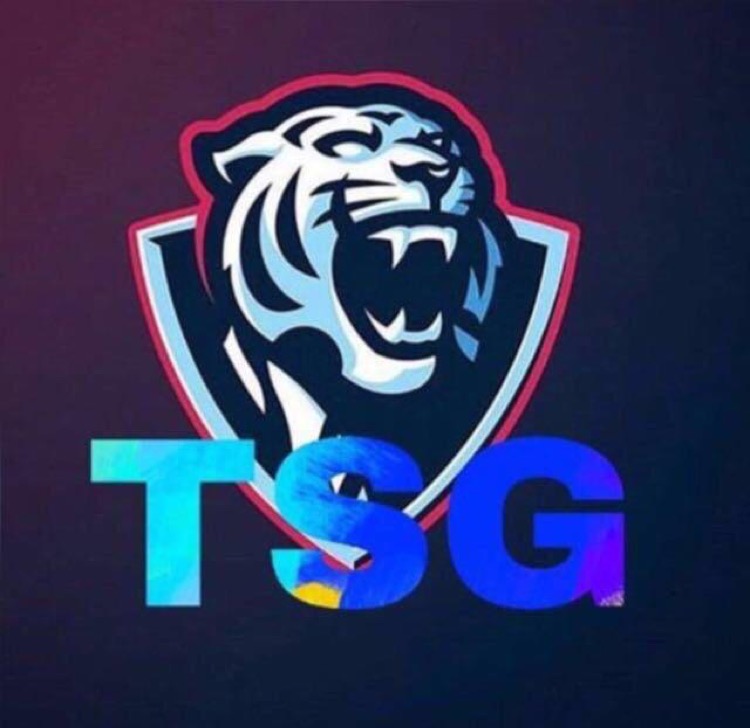 TSG.esports