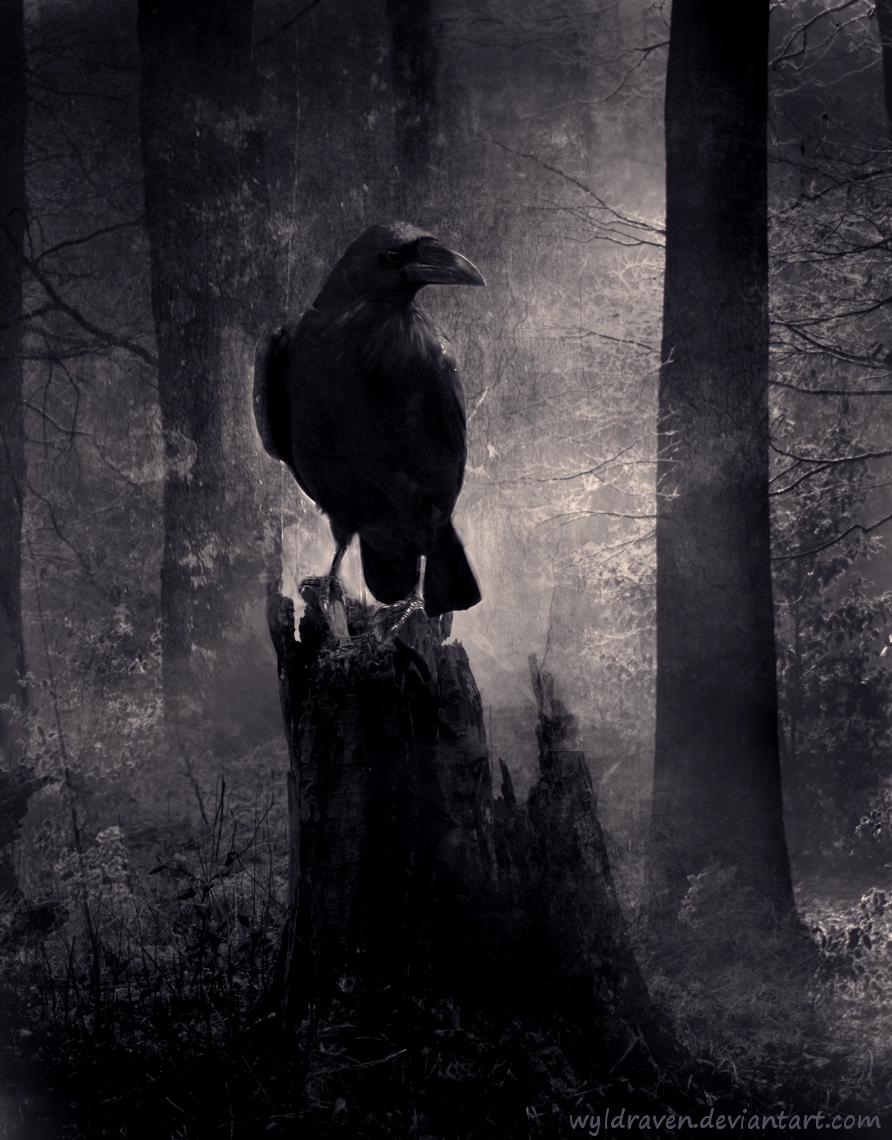 Dark Soulz