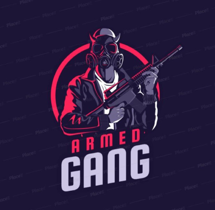 Armed gang