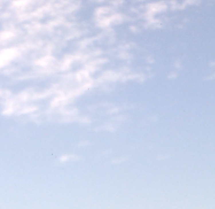 Invitation Banner