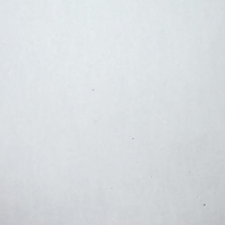 Invitation Banner