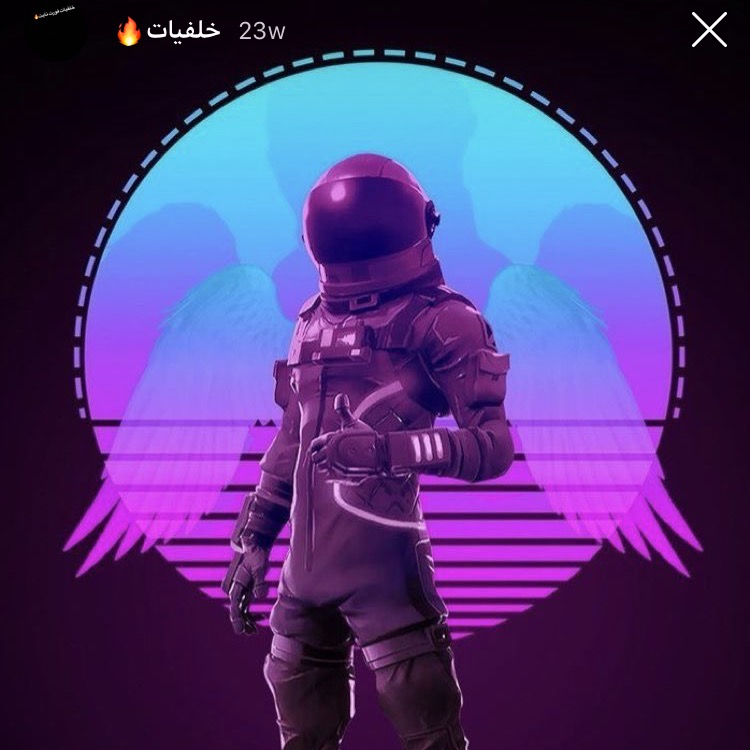 Dirkegale3
