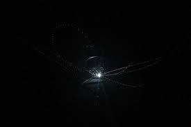 darknesses
