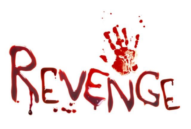 Revenge Team