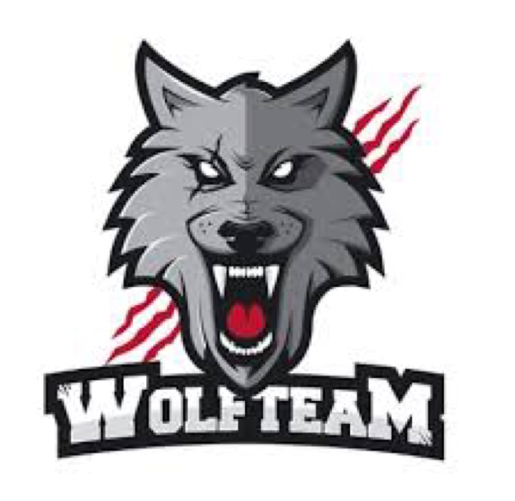 wolft esport