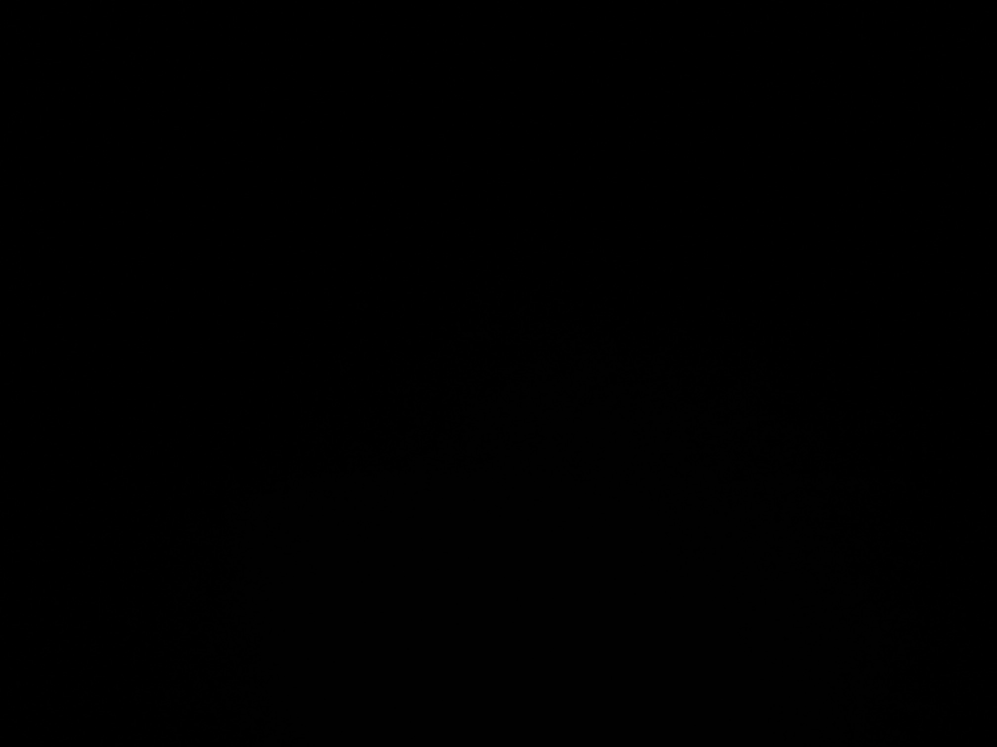 Sudjdjuxus