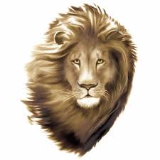 The Lions