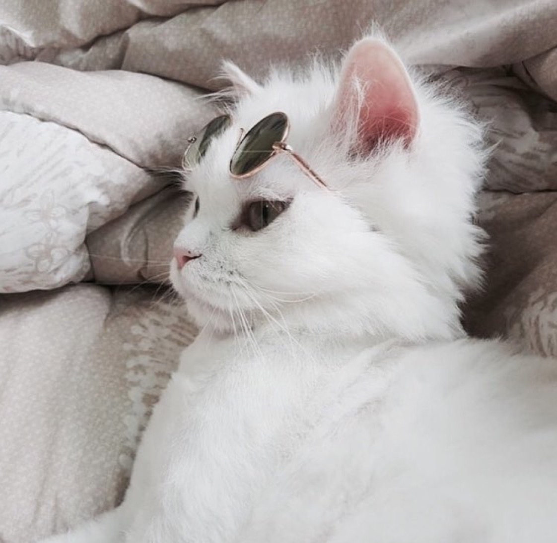 The Mighty Eye