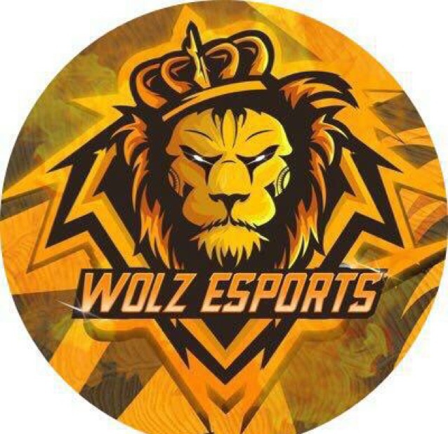 wolzesports27