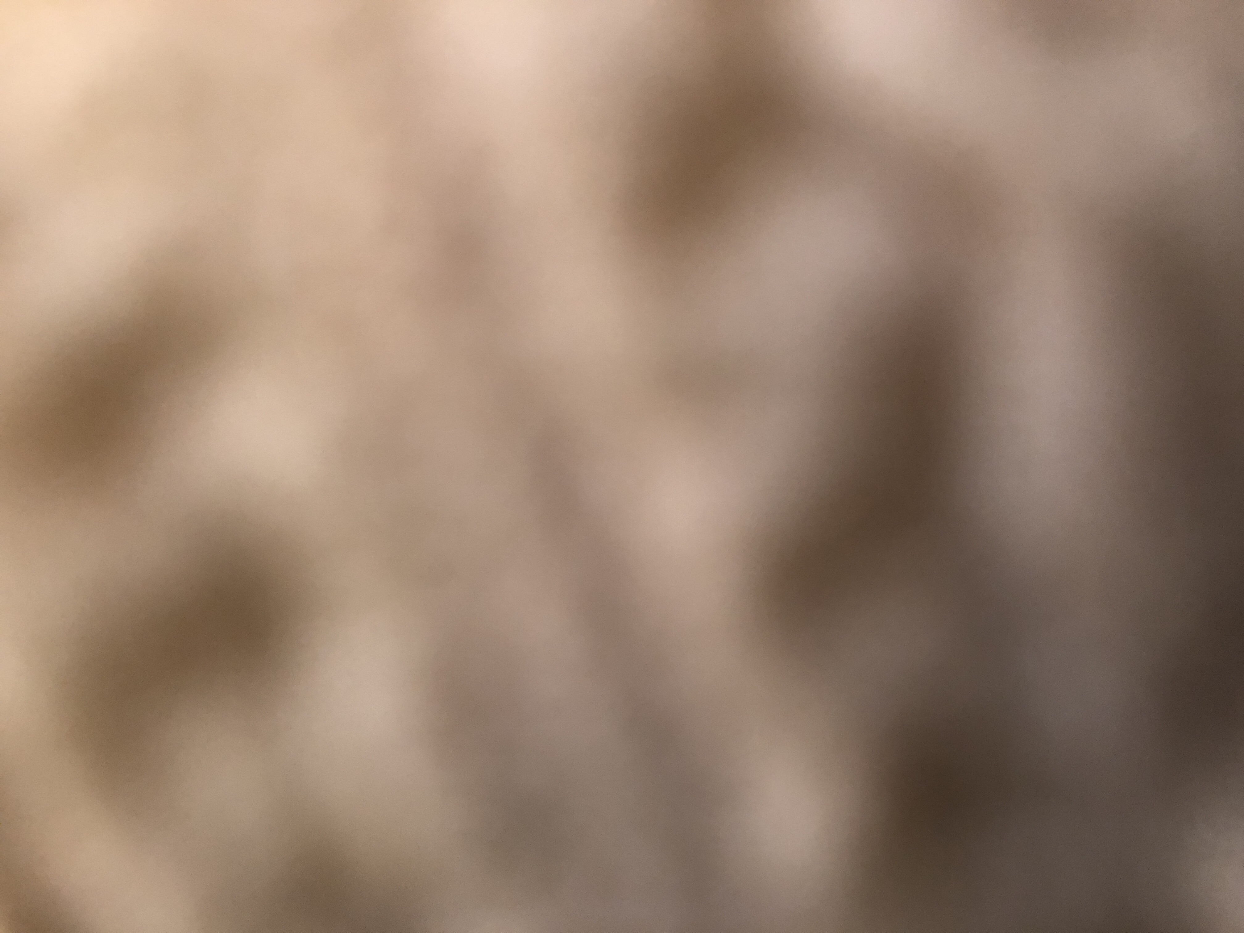 Mohammad