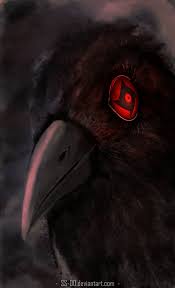 Black crow