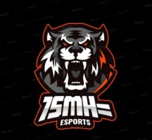 BSMH