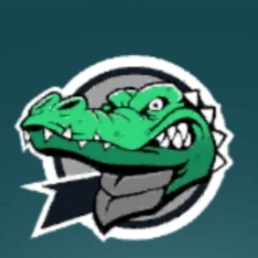 FIGHTEING TEAM