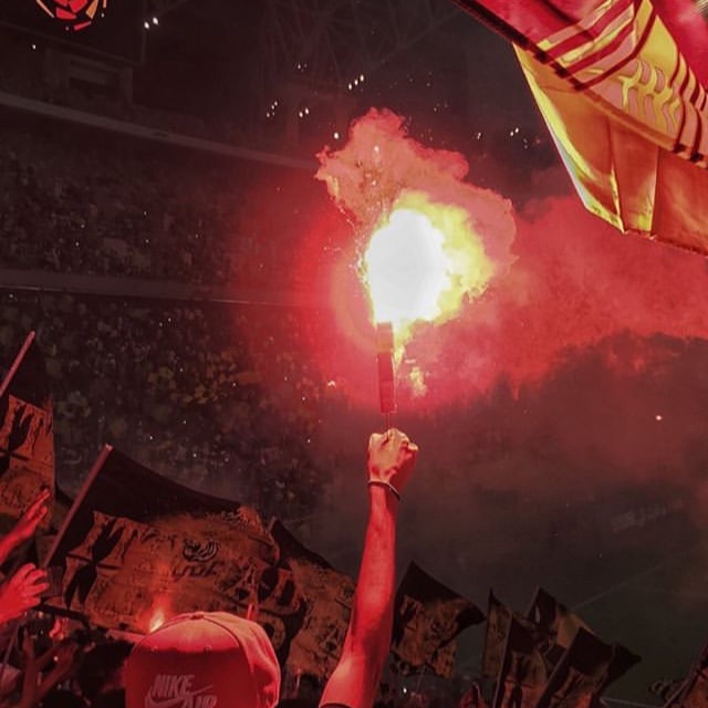 Natus Vincere