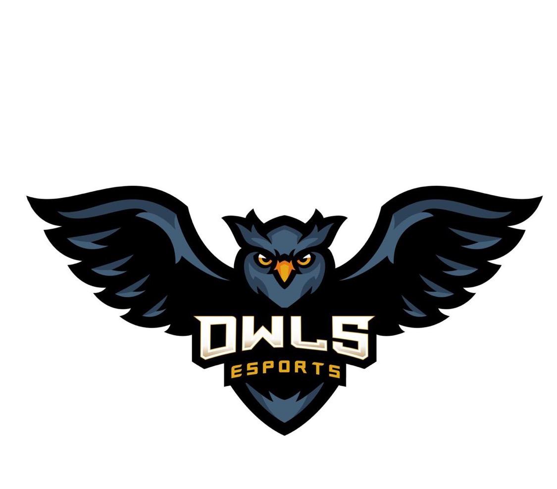 OWL Esports00