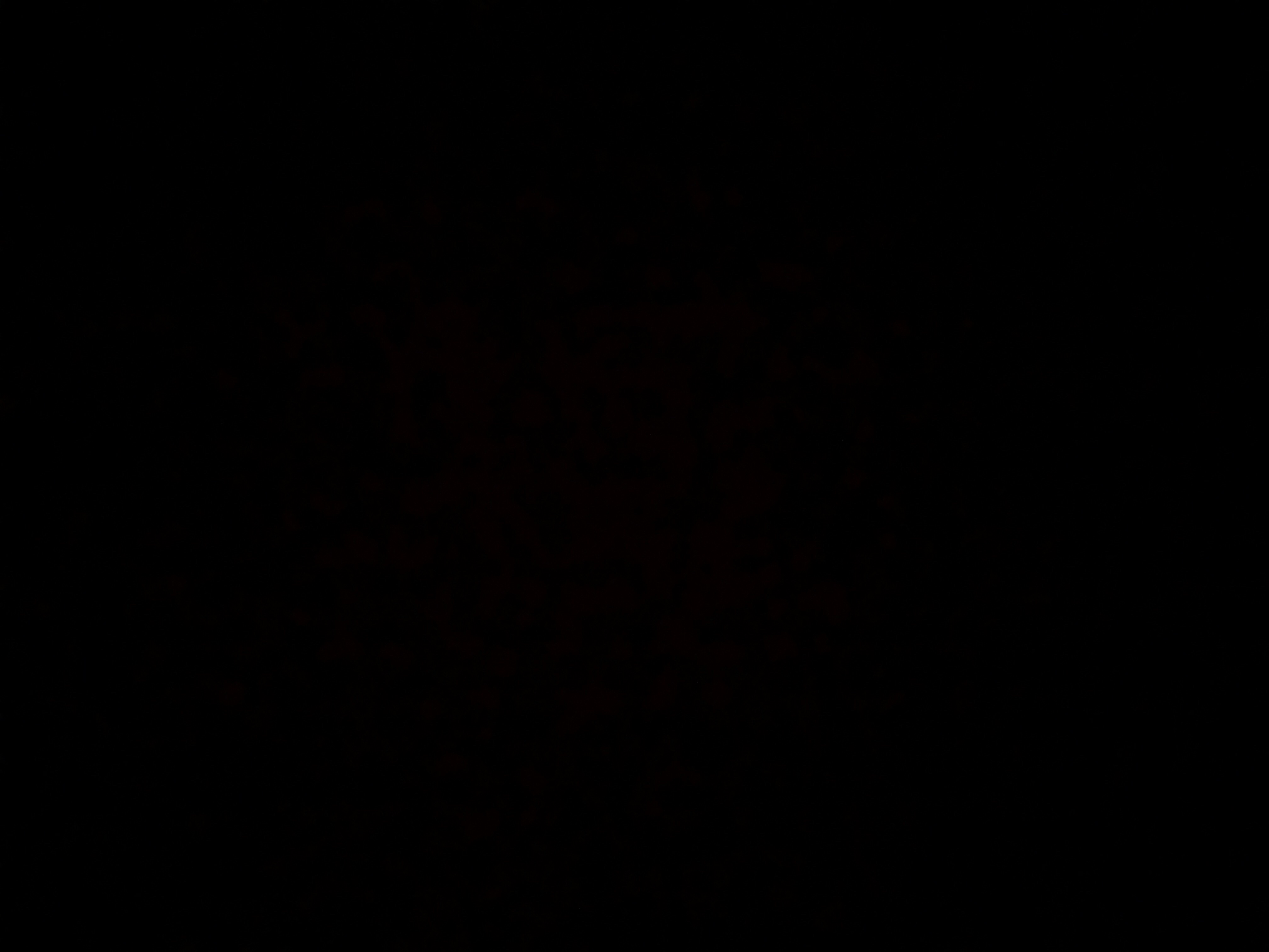 Invitation Banner
