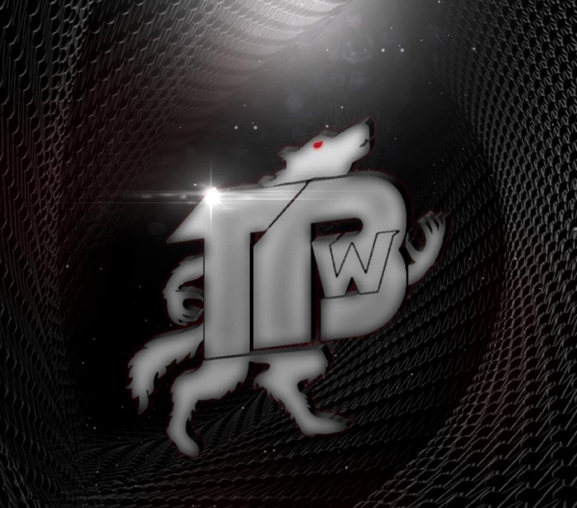 THE BLACK WOLF PC