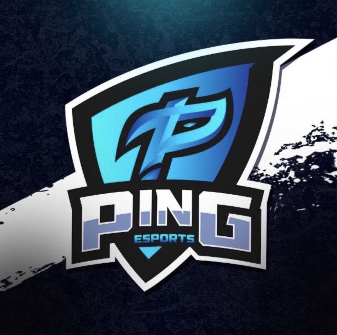 Pingesports