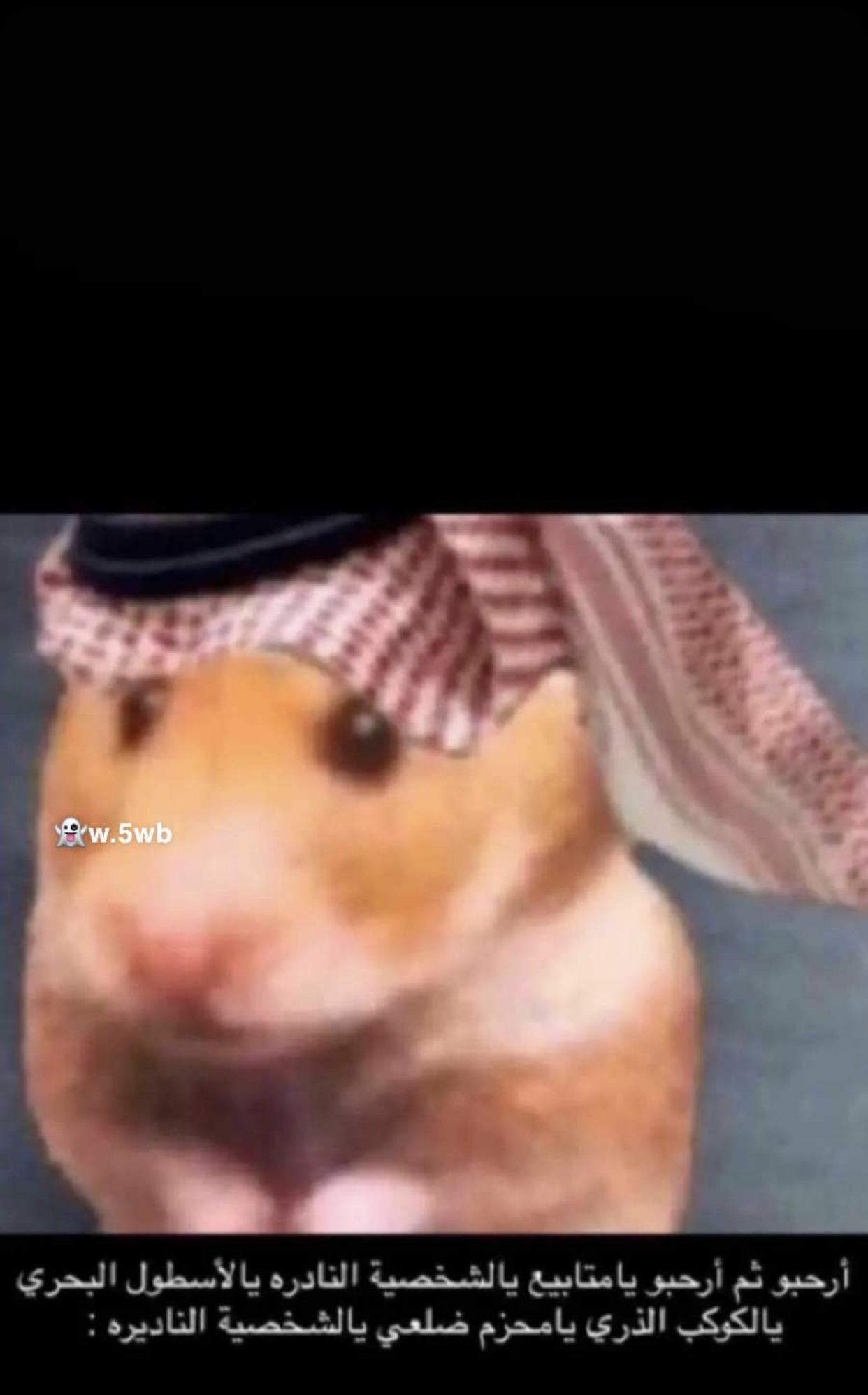 abdullah alsubaie