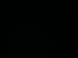 Invitation Banner