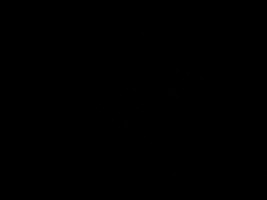 Invitation Banner