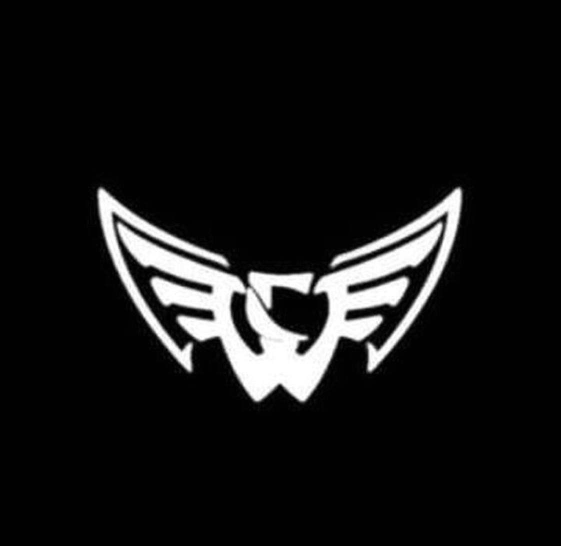 DeadlyForce-