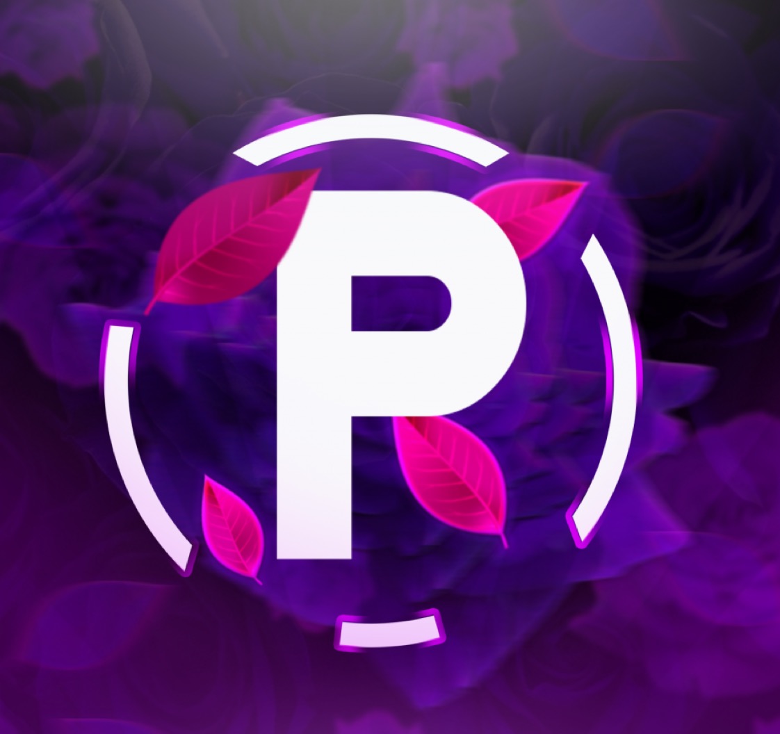The Protecer Team