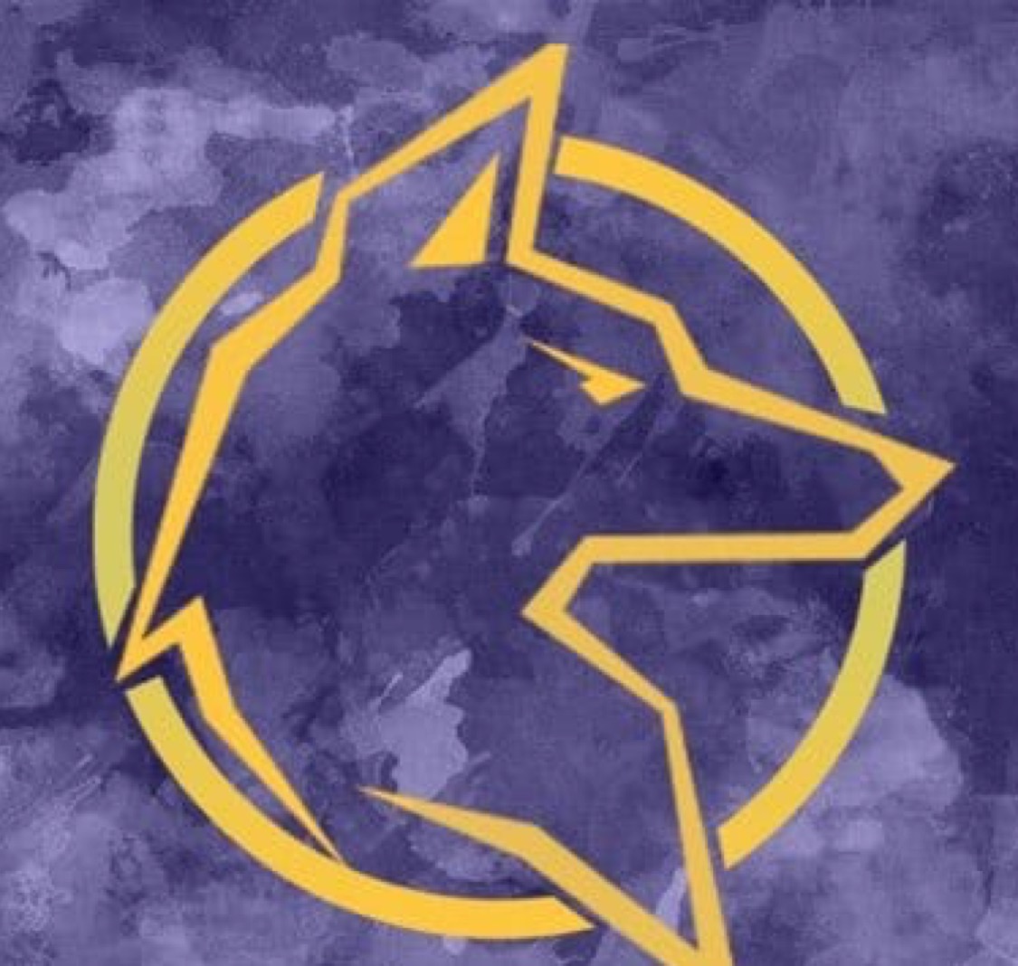 Natus Vincere