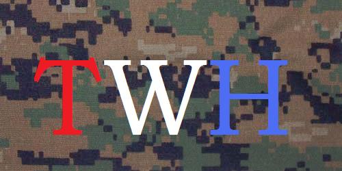 TheWarHere