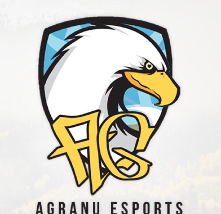 AG eSports