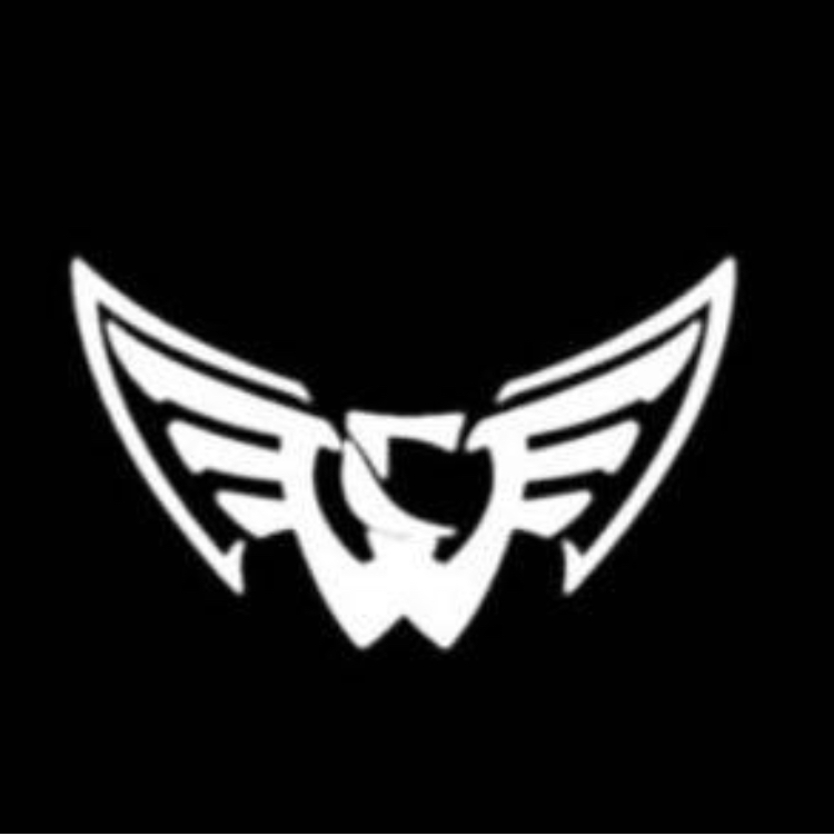 Deadly force Esports