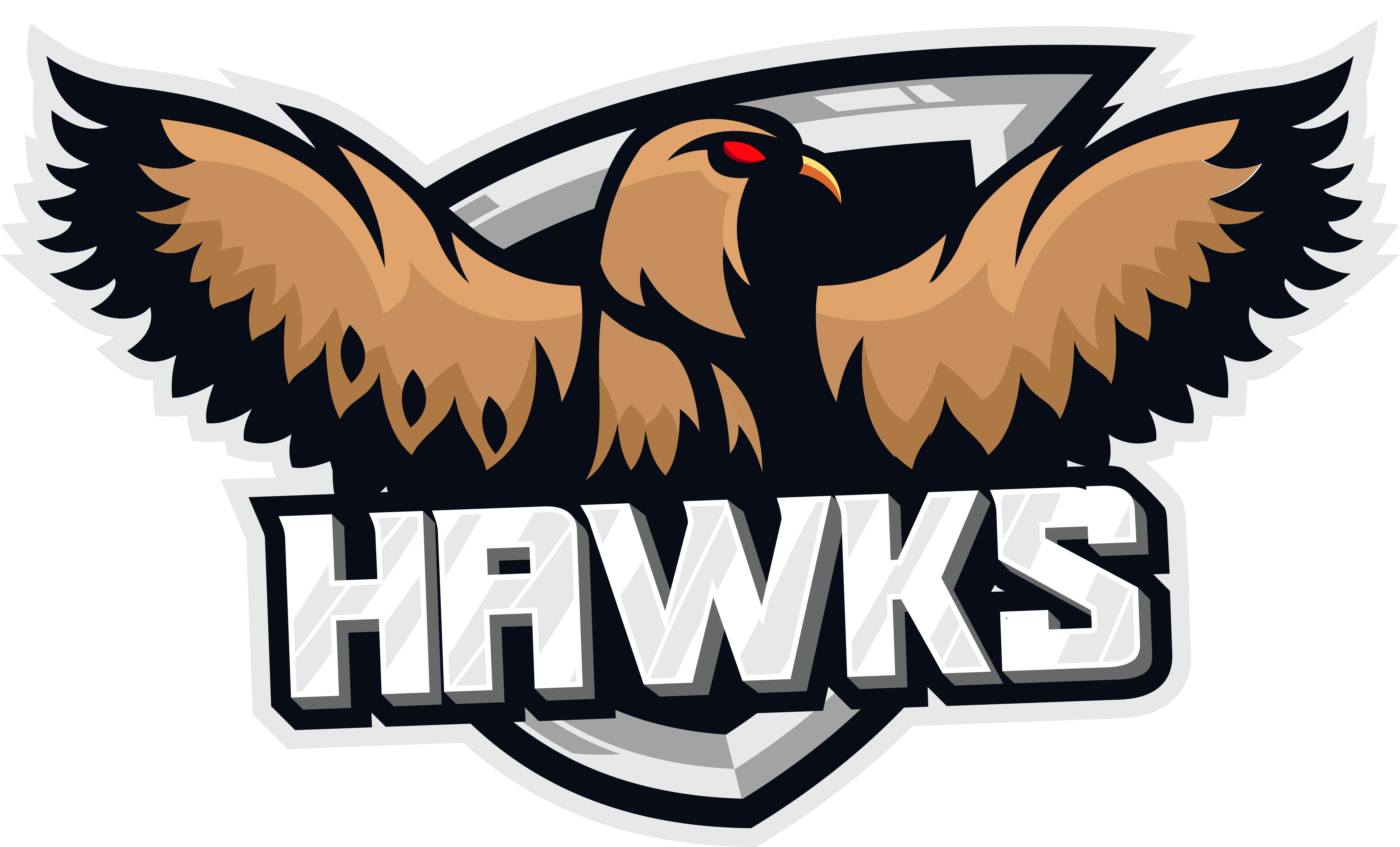 Hawks1