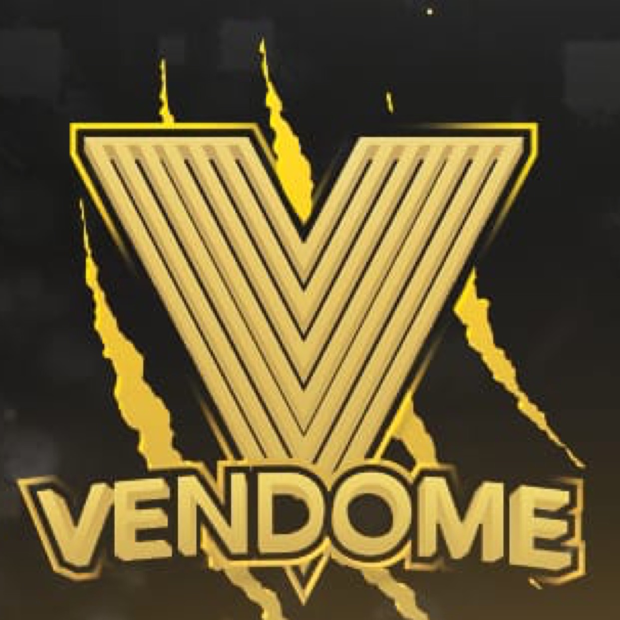 VND esports4
