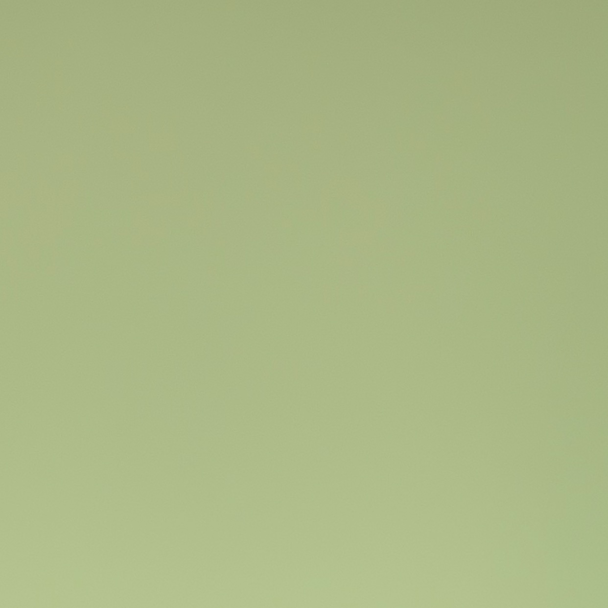 Invitation Banner