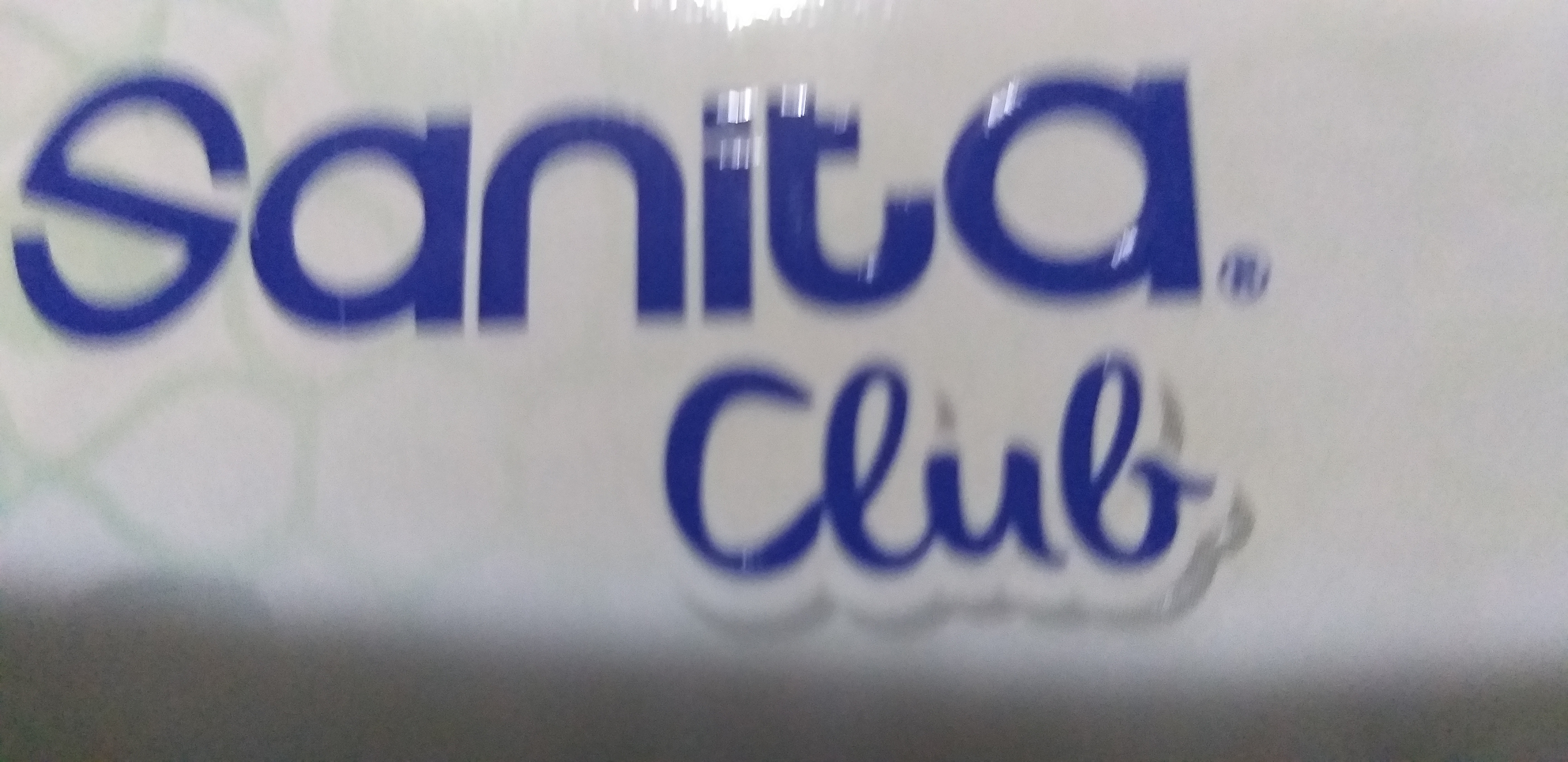 Team Santea