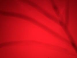 Invitation Banner