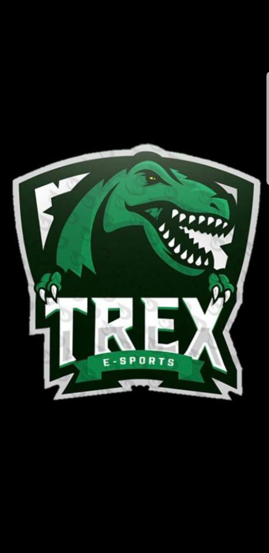trexesport8
