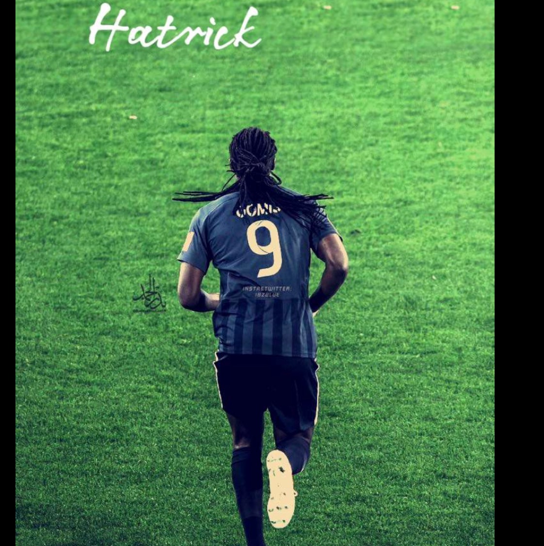 Ali-19
