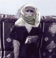 i hhail