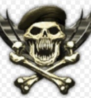 Natus Vincere