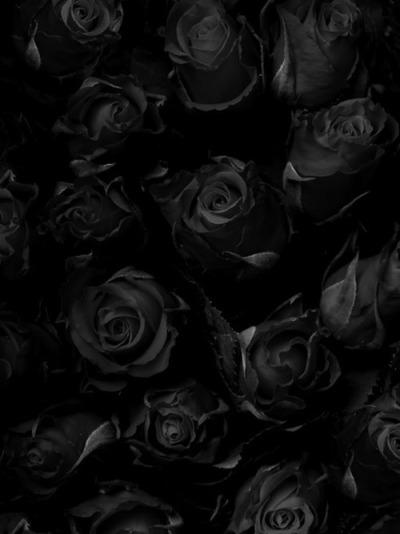 Black Flowers