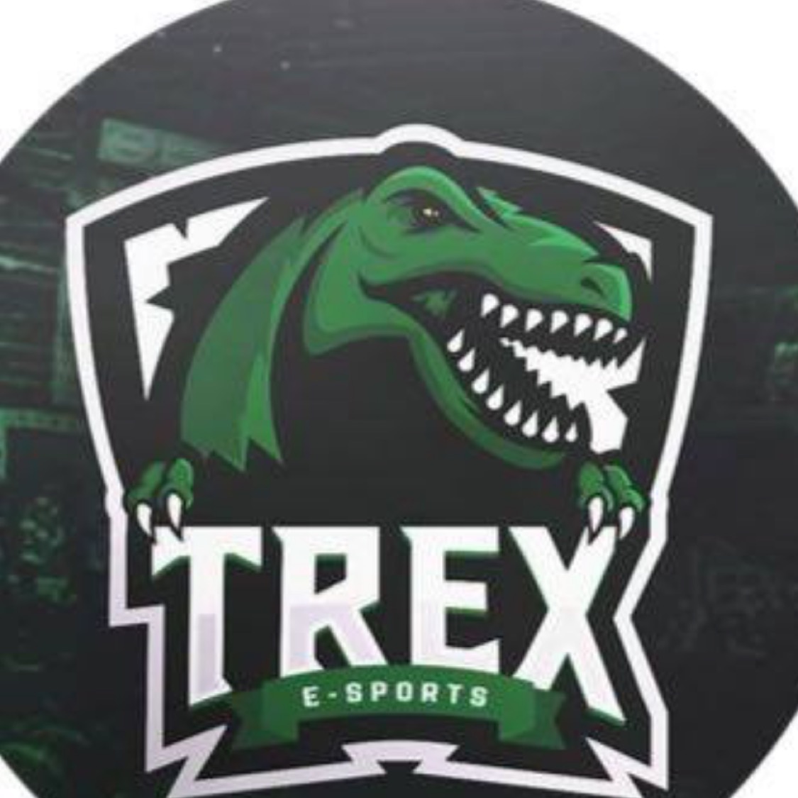Trexe33